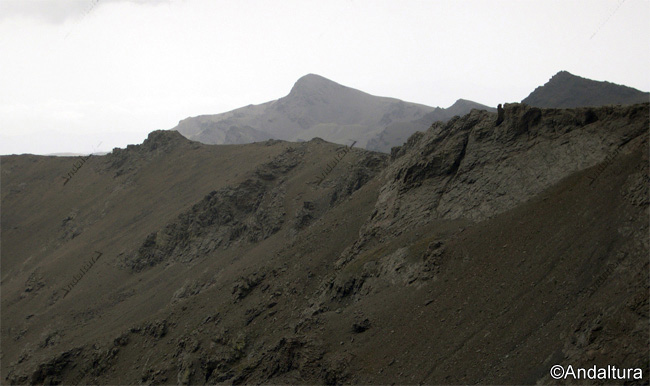 Loma de Cuerta Alta, al fondo Tajos Altos y el Cerro del Caballo