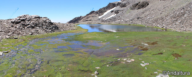 Panorámica de los manantiales de la Laguna de Aguas Verdes