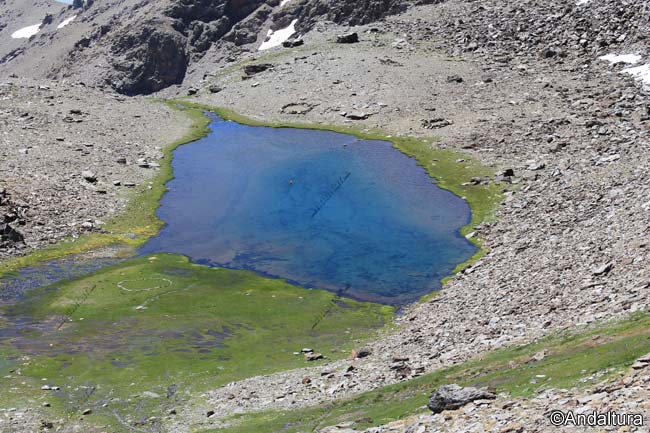 Laguna de Aguas Verdes - Lagunas de Sierra Nevada