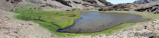 Lagunillo del Púlpito - Lagunas de Capileira