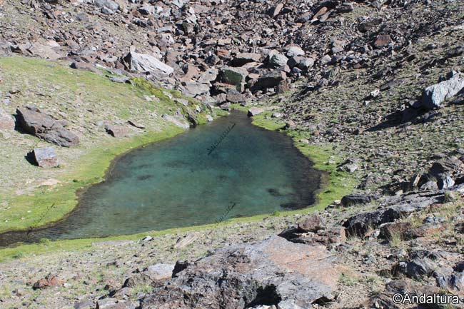 Lagunillo Misterioso - Lagunas de Sierra Nevada