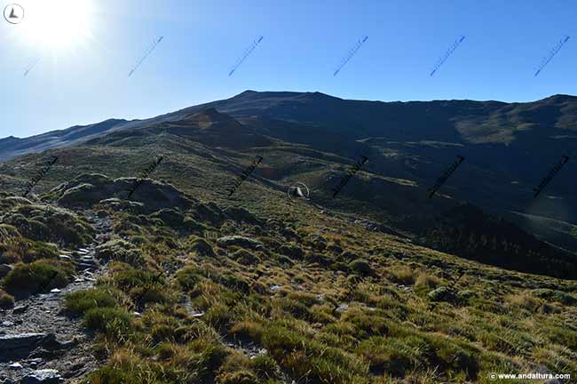 Ruta de Senderismo por la Loma de los Tres Mojones al Cerro del Caballo - Rutas de Senderismo por Nigüelas