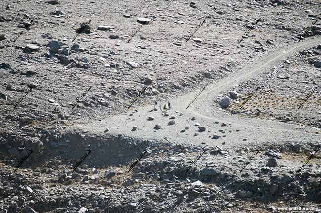 Piedras situadas en la pista que atraviesa Sierra Nevada para facilitar la reconstrucción y desaparición de la misma