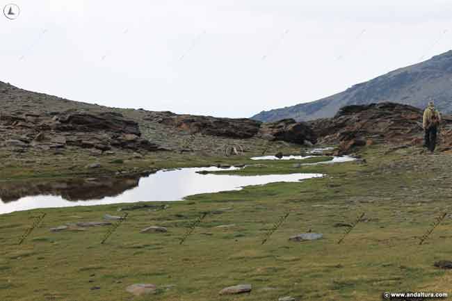 Ruta Botánica y de Senderismo por las Lagunas del Valle de Dílar