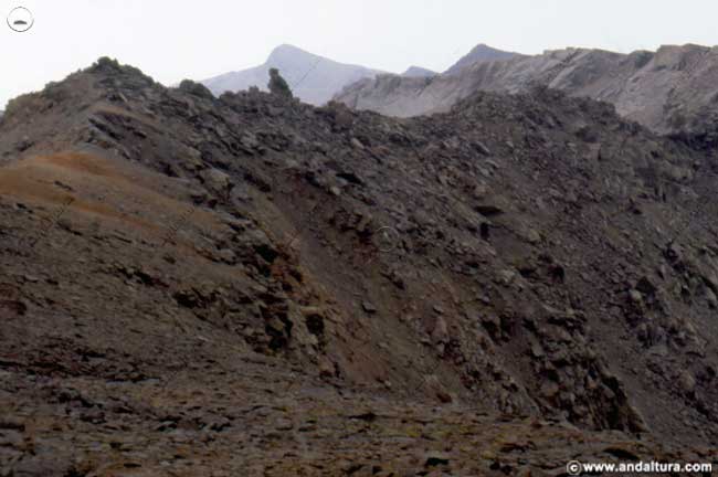 Tajos del Nevero con el Fraile de Capileira en primer plano, al fondo Tajos Altos y el Cerro del Caballo