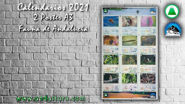 Calendarios 2021 en formato A3 Fauna de Andalucía