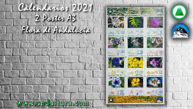 Calendarios 2021 en formato A3 Flora de Andalucía