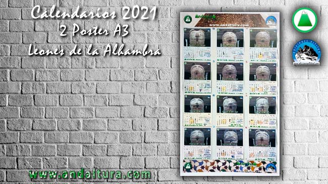 Calendarios 2021 en formato A3 de los Leones de la Alhambra