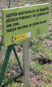 Cartel de trabajos de adaptación de Quercus pyrenaica en la Dehesa de San Juan