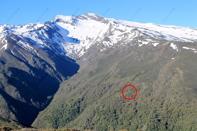 Situación del Refugio del Hornillo en Sierra Nevada, en las proximidades del Valle del río Guarnón