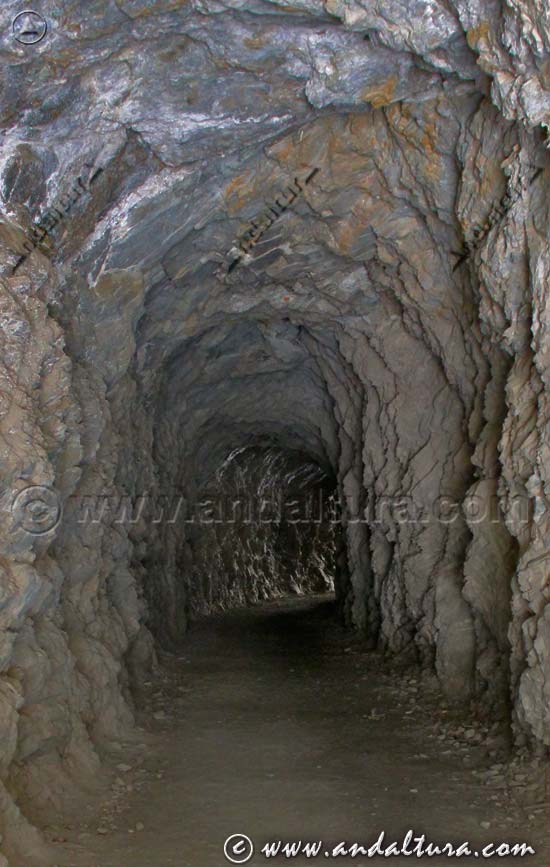 Túnel de la Vía Verde de Sierra Nevada