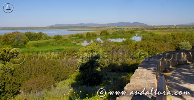 Accesos a la Laguna de Fuente de Piedra y la Gran Senda de Málaga - Gran Recorrido GR 249