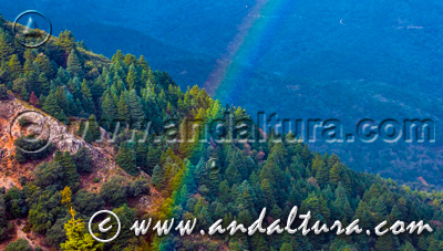 Acceso al Clima del Parque Natural Sierra de Grazalema - Arco iris en pinsapar