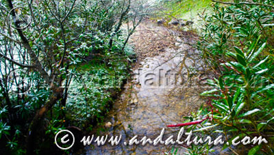 Acceso a los ríos del Parque Natural Sierra de Grazalema - Salto del Cabrero -