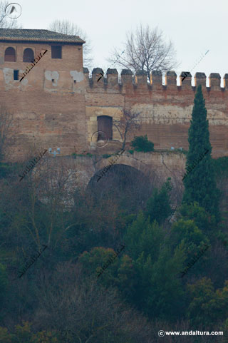 Puerta Alta del Bosque desde el Albaycín