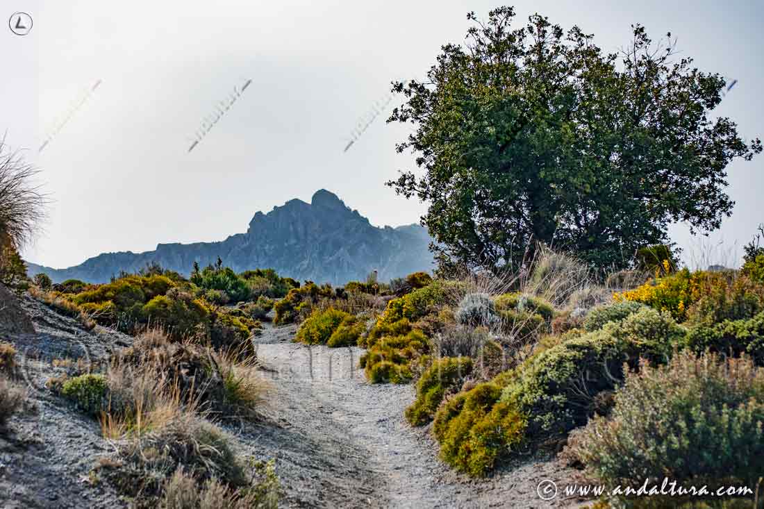 Rutas por la Baja Montaña de Sierra Nevada por los Arenales del Trevenque, al fondo los Alayos y el Corazón de la Sandía