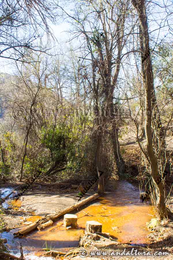 Aguas ferruginosas en la Alpujarra