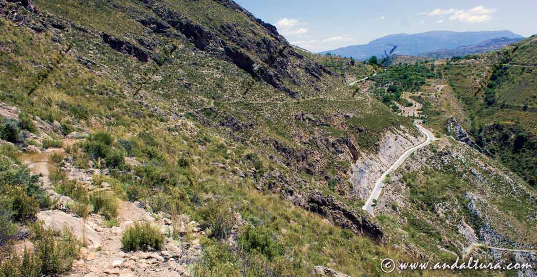 Vereda del Caminillo viejo en la Ruta Medieval de la Alpujarra hacia la pista forestal hacia la Mina de Mancilla