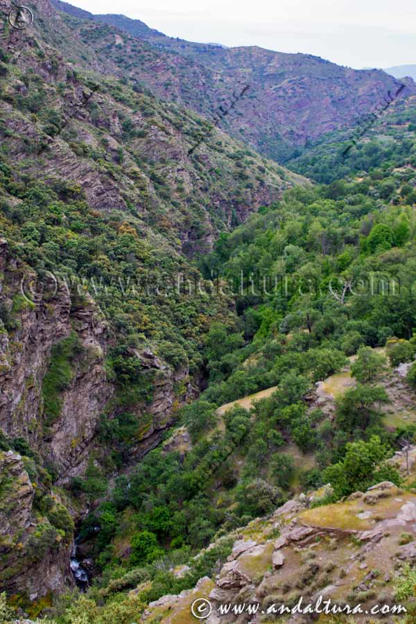 Emcajonamiento del río Trevélez por el PR A 299 Ruta Medieval por la Alpujarra