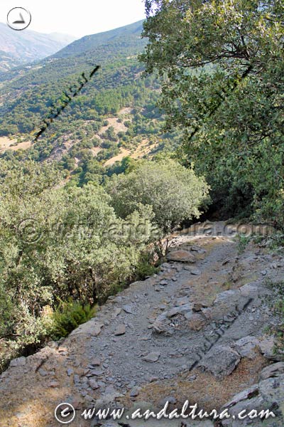 Vereda de la Ruta Medieval de la Alpujarra PR A 299 subiendo por la Escarihuela Portichuelo de Cástaras