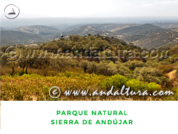 Espacios Naturales de Jaén: Parque Natural Sierra de Andújar
