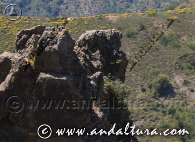 Pareidolia en el Caminillo Viejo hacia Cástaras - Ruta Medieval por la Alpujarra