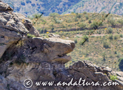 Pareidolia en el Caminillo Viejo - Ruta Medieval por la Alpujarra