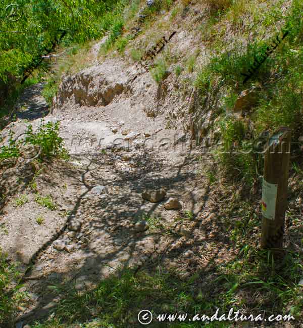 Vereda de la Ruta Medieval por la Alpujarra bajando a la Rambla de Nieles