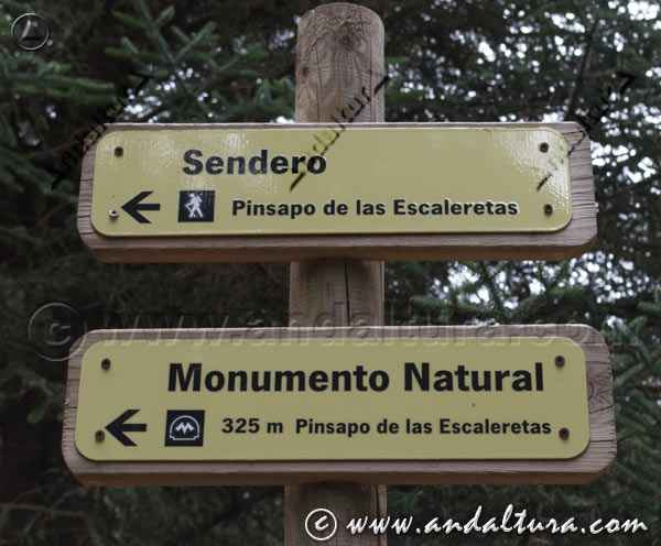 Carteles indicativos del Sendero del Pinsapo de lsa Escareletas, declarado Monumento Natural de Andalucía -Parque Nacional Sierra de las Nieves