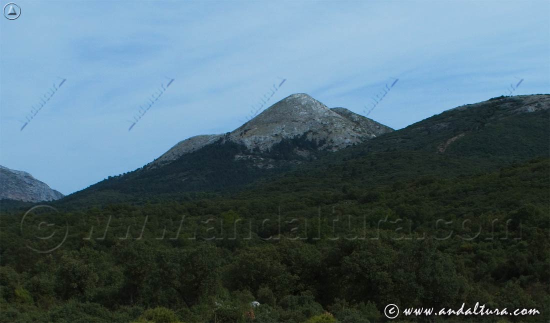 Cerro Alcojona y Pinsapar de Parauta