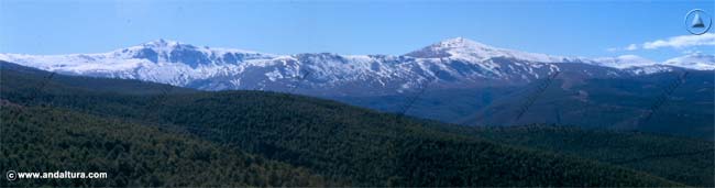 Cumbres de Sierra Nevada y pinares de repoblación