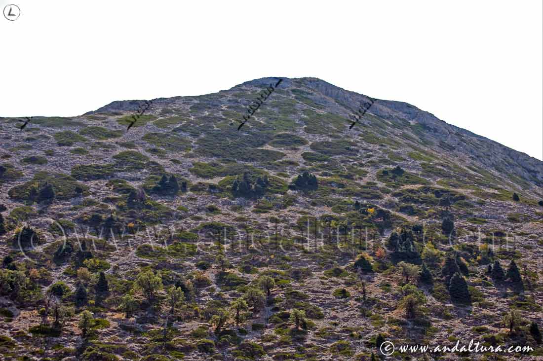 Pico de Torrecilla, altura máxima de la Sierra de las Nieves