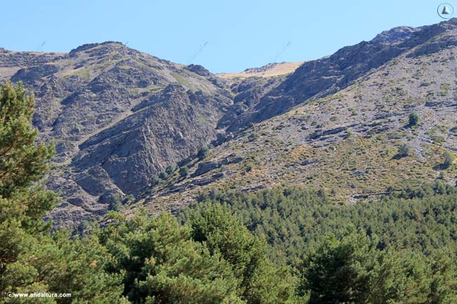 Cotas de Sierra Nevada en Almería sobre los Pinares de repoblación por donde transita el GR 240 Sendero Sulayr
