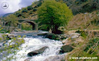 Río Trevélez - aguas de Alta Montaña