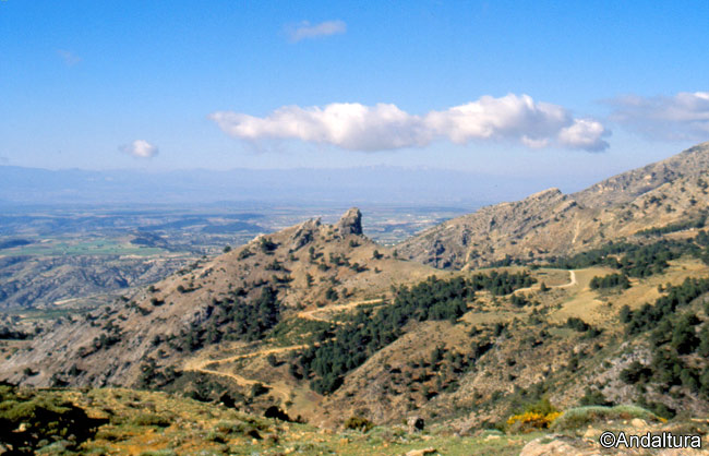 Collado del Laude - Rutas de Senderismo por la Sierra de Castril al Cerro Tejos y del Buitre