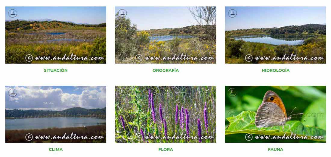 Reserva Natural Lagunas de Archidona: Todo lo que debes de saber