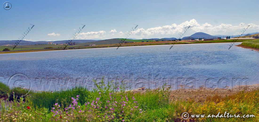 Laguna Salada - Rutas de Senderismo por las Lagunas de Campillos