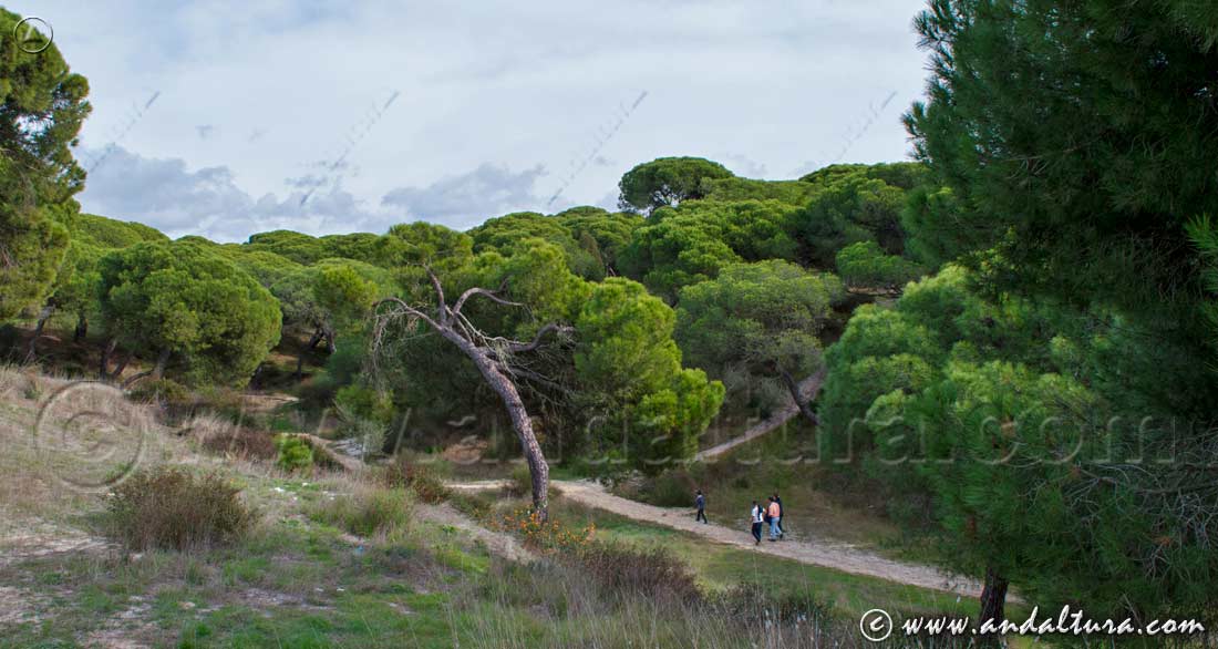 Senderismo por el Espacio Natural Doñana - Parque Natural Doñana - Rutas de Senderismo por Huelva