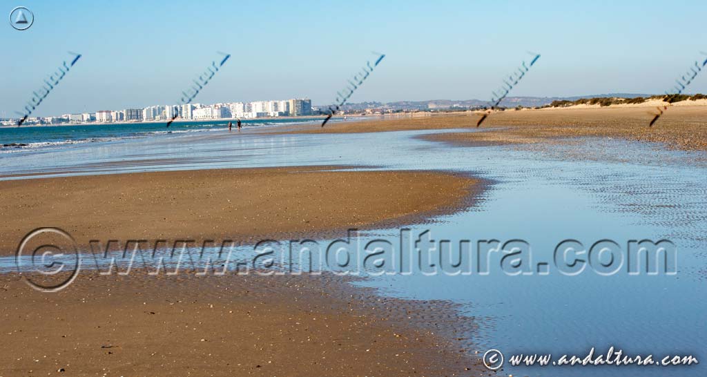 Playa de Levante - Bahía de Cádiz