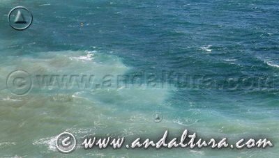 Monumento Natural Arrecife Barrera de Posidonia - Acceso a Contenidos -