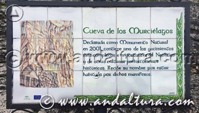 Monumento Natural Cueva de los Murciélagos - Acceso a Contenidos -