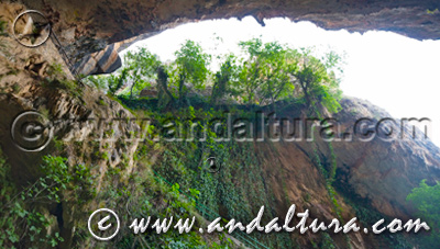 Monumento Natural Cueva del Agua de Tíscar - Acceso a Contenidos -