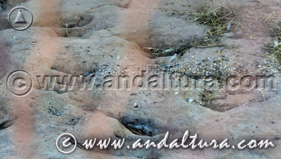 Monumento Natural Huella de Dinosaurio de Santisteban del Puerto - Acceso a Contenidos -