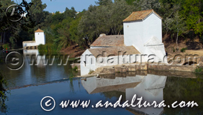 Monumento Natural Ribera del Guadaíra - Acceso a Contenidos -
