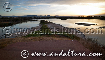 Paraje Natural Desembocadura del río Guadalhorce - Acceso a Contenidos -