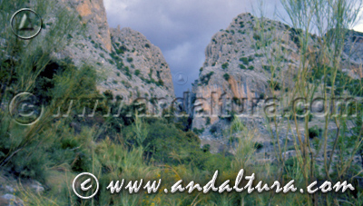Parque Natural Sierra de Castril - Acceso a Contenidos -