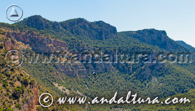 Parque Periurbano Monte La Sierra - Acceso a Contenidos -