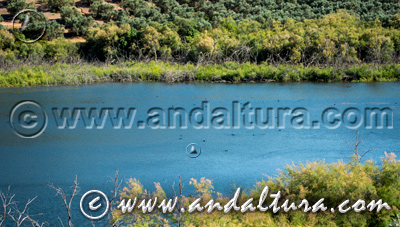 Reserva Natural Laguna Amarga - Acceso a Contenidos -