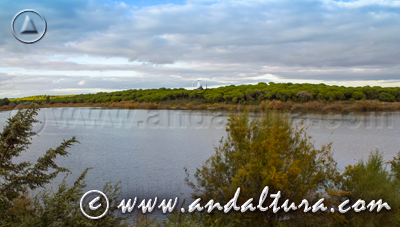 Reserva Natural Laguna de El Portil - Acceso a Contenidos -