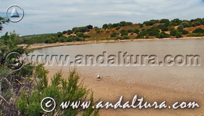 Reserva Natural Laguna de Tíscar - Acceso a Contenidos -